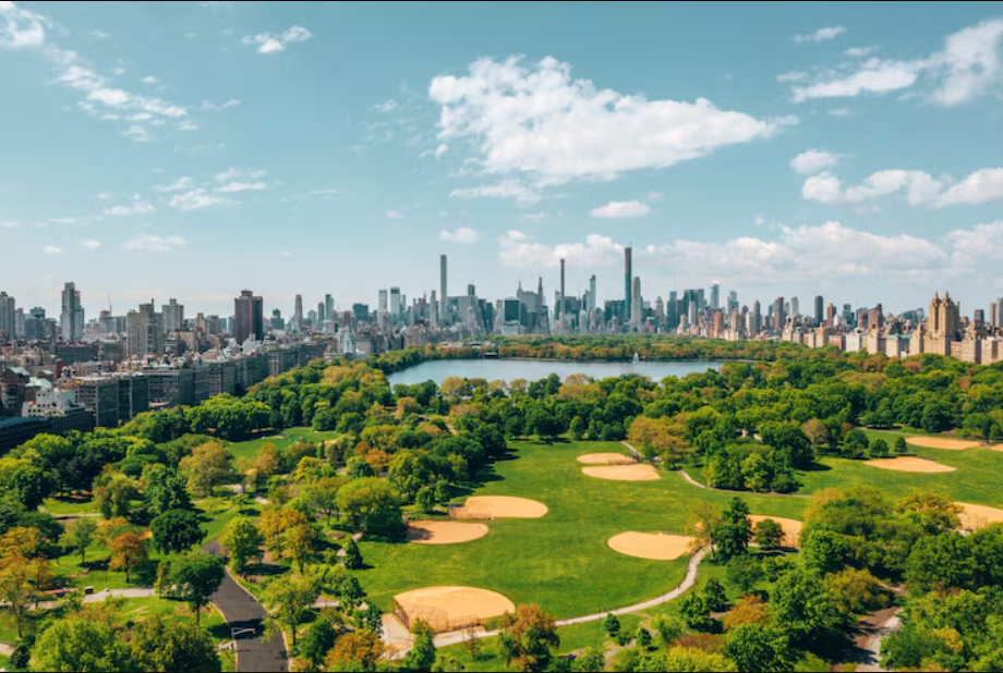 Aerial view of the central park in manhattan, new york city surrounded by skyscrapers