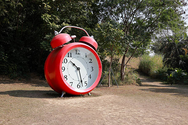 Guide to Filling Out the City Planning Application Form in Los Angeles, Giant alarm clock in the grass