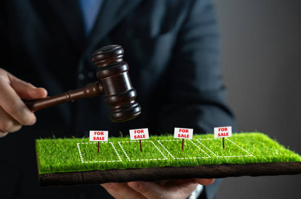A businessman with a hammer holds an auction to sell land plots. Land litigation. Property investment. Competitive bidding. Property valuation. Commercial land deals