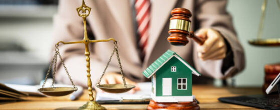 A young businesswoman is working at her desk, reviewing contracts and preparing for litigation, while also managing her responsibilities as a homeowner involved in renovation and real estate.